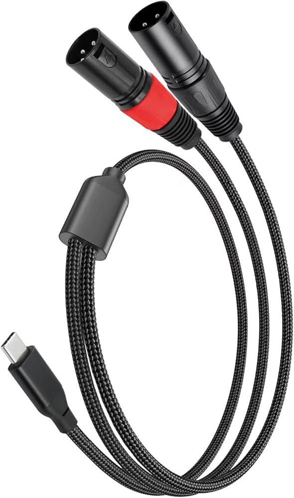 Cable USB-C a 2 XLR 1m
